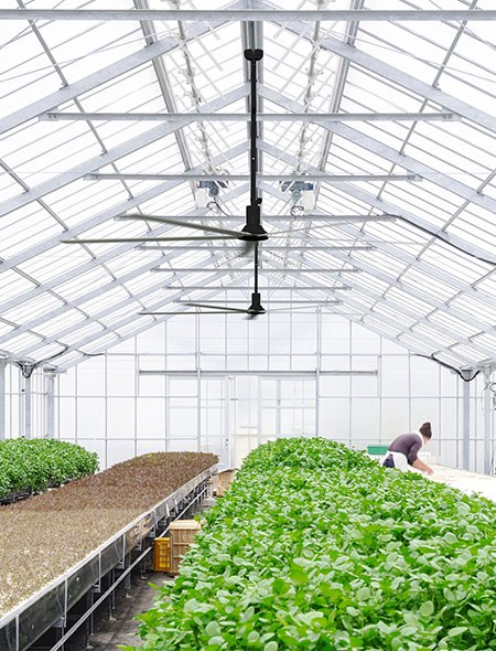 ventiladores de teto hvls para estufa