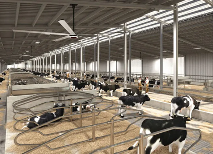 Ventiladores HVLS en el establo de ganado agrícola