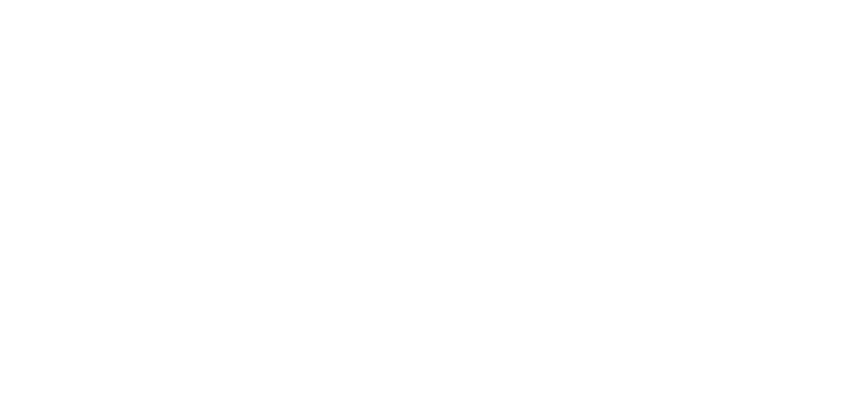 network_2c130454