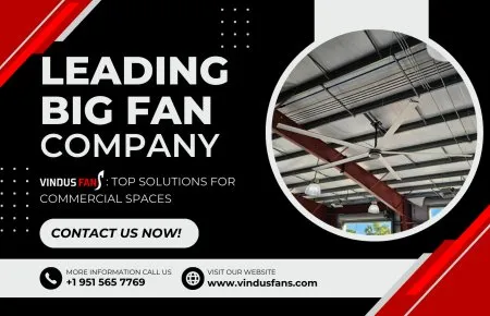 Por que a Vindus Fans é a empresa líder em grandes ventiladores para espaços comerciais