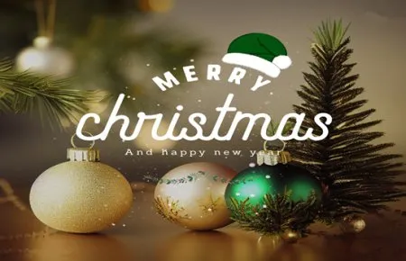 Sincere Wishes from Vindus Fans for Christmas and New Year!