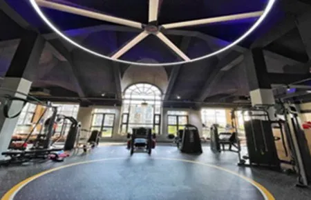 What are the best fans for gyms (and other fitness facilities)?