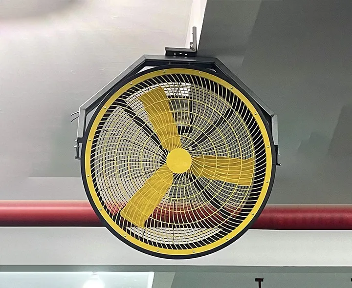 Oscillating wall mount fan