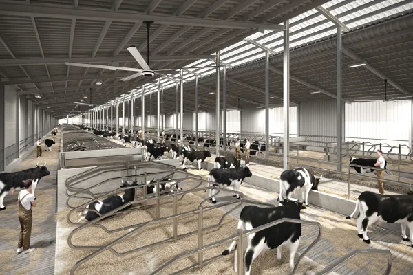 Implementing HVLS Fans on Your Farm: